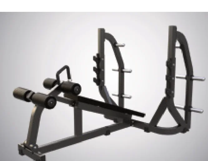 DHZ Olympic Decline Bench (D973)