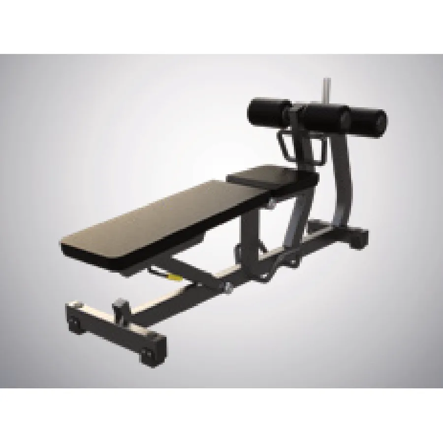 DHZ Back Extension (D975)