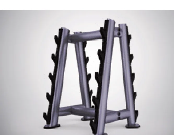 DHZ Barbell Rack (T942)