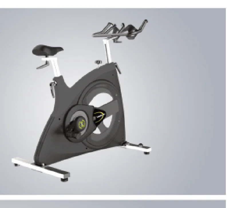 DHZ Indoor Cycling Bike (X958B)