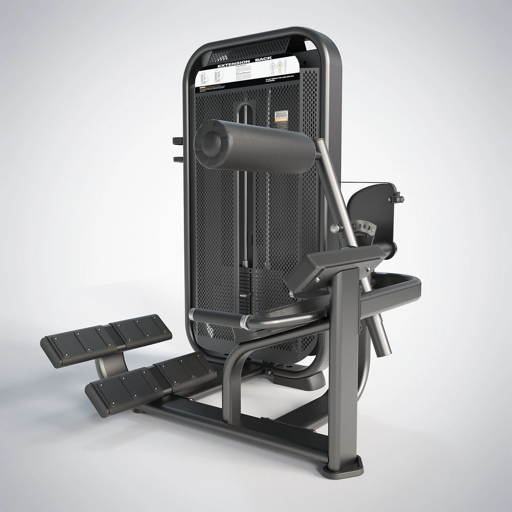 DHZ Back Extension (E7031)