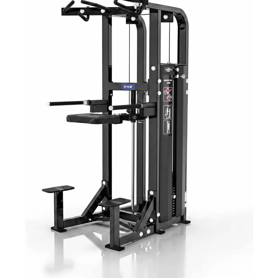 DHZ Assist Dip Chin (SM5009)