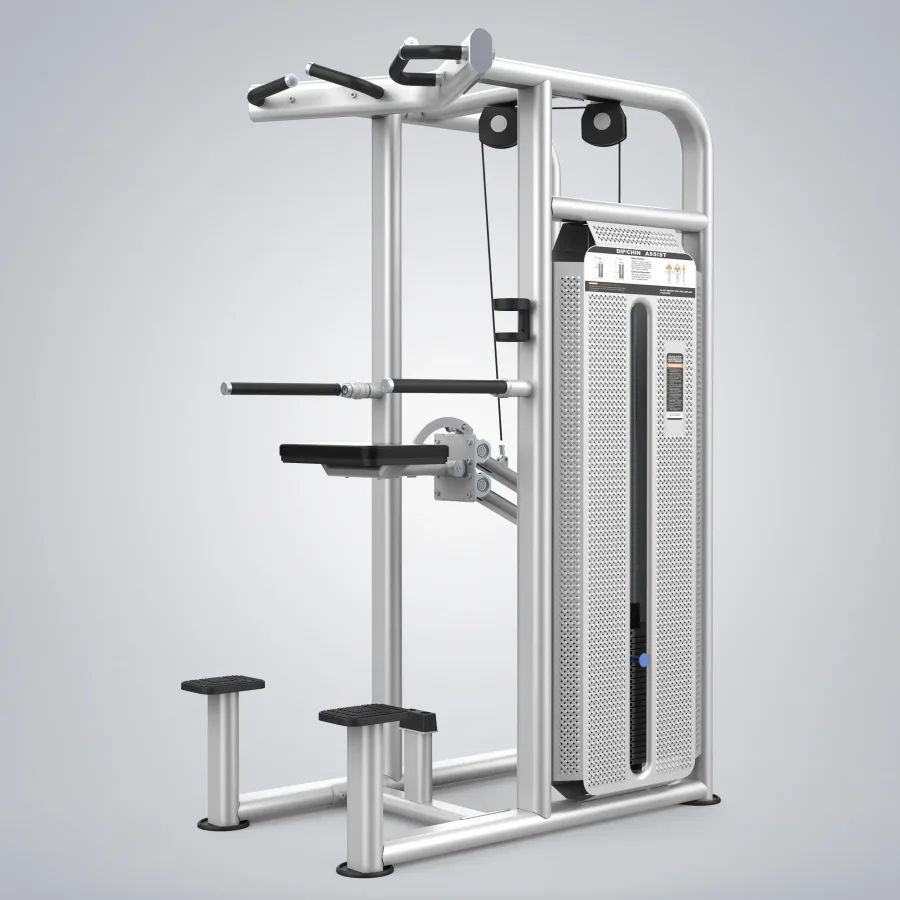 DHZ Dip / Chin Assist (U2009CBZ)