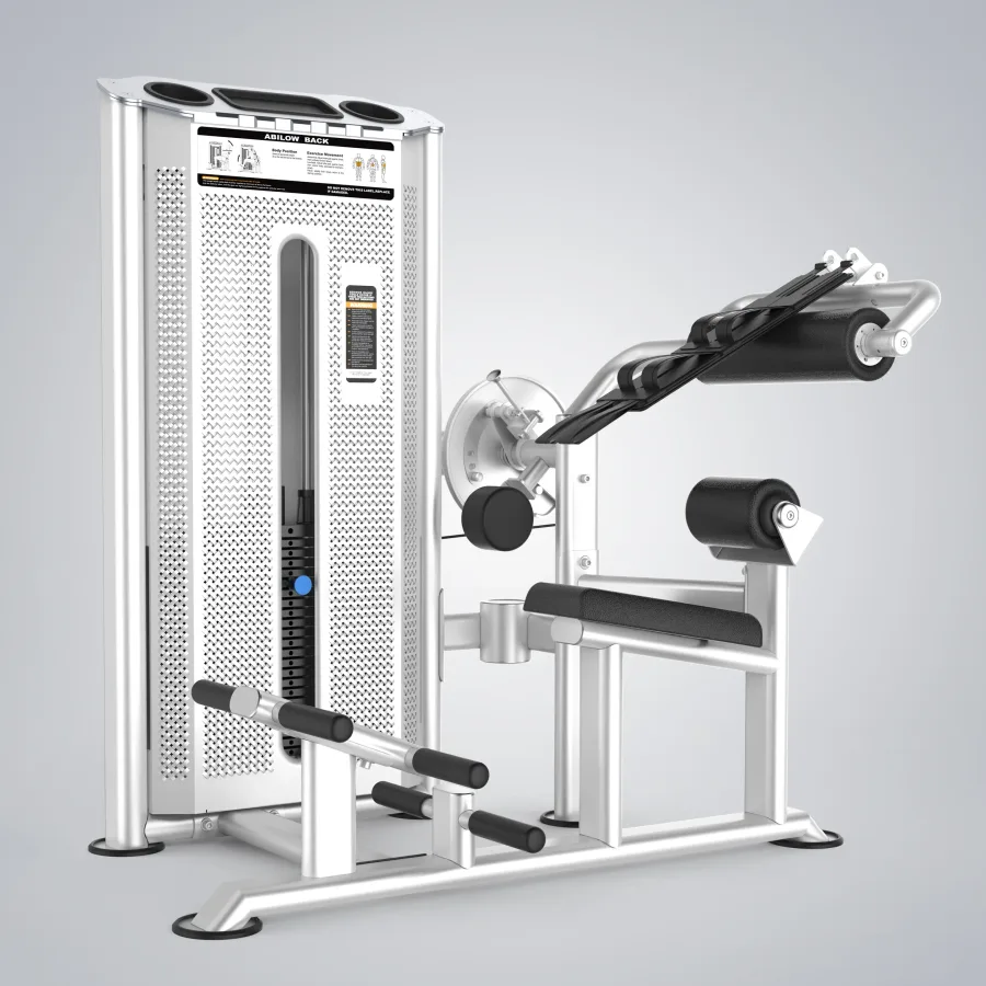 DHZ Abdominal & Back Extension (U2088)